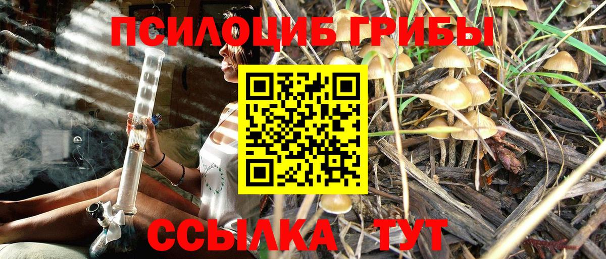 Галлюциногенные грибы MAGIC MUSHROOMS Тейково